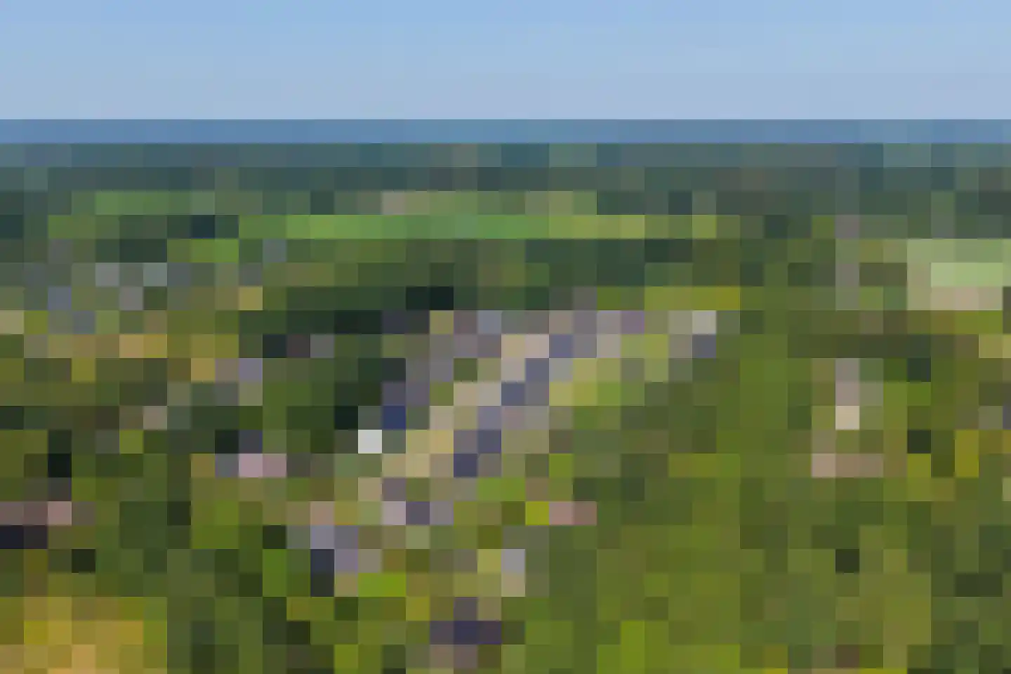 Schuurmansweg 1 D Diepenveen thumbnail 53