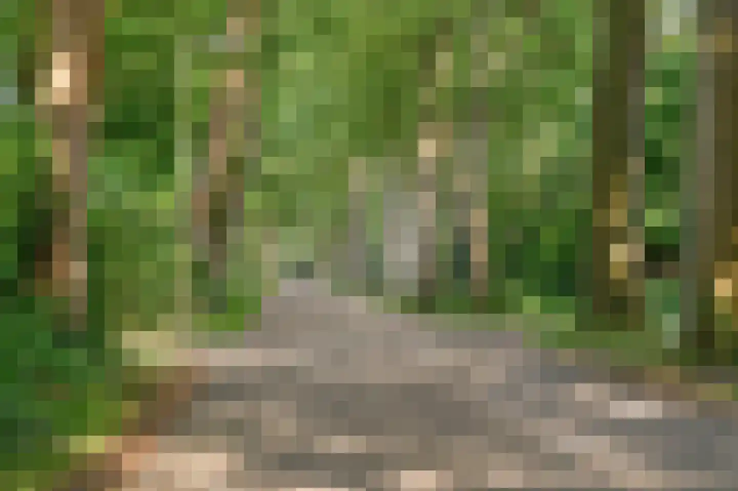 Schuurmansweg 1 D Diepenveen thumbnail 54