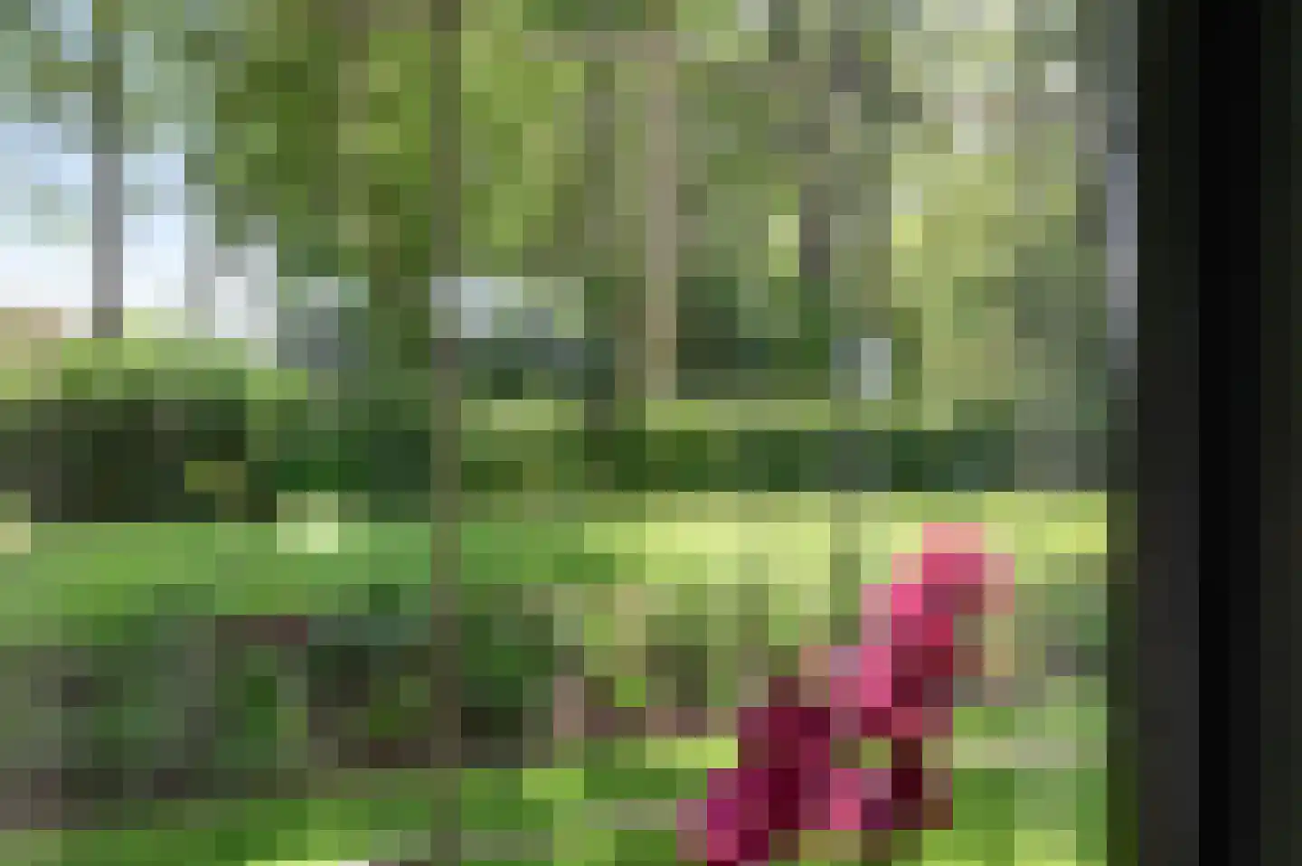 Schuurmansweg 1 D Diepenveen thumbnail 8