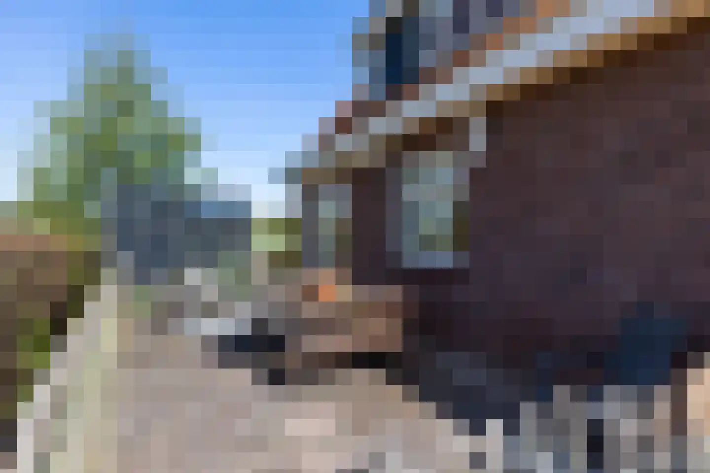 Schuurmansweg 10 Oene thumbnail 15