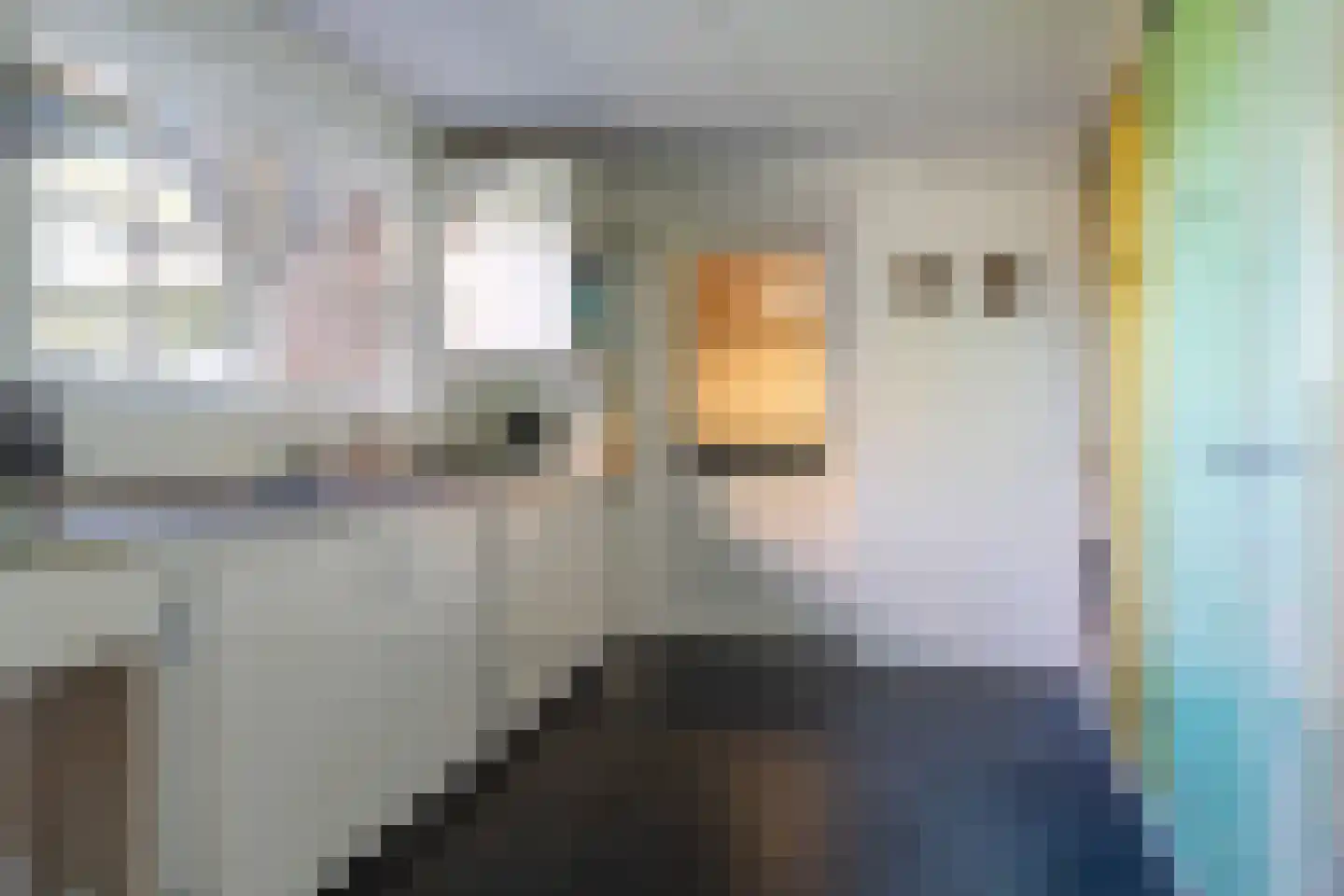 Schuurmansweg 10 Oene thumbnail 21