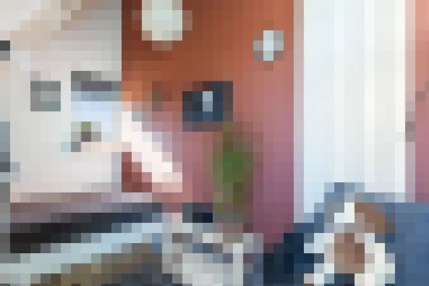 Schuurmansweg 10 Oene thumbnail 30