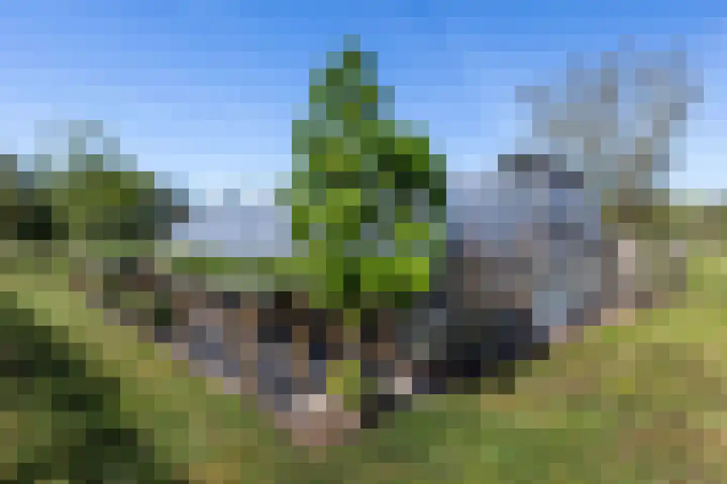 Schuurmansweg 10 Oene thumbnail 38