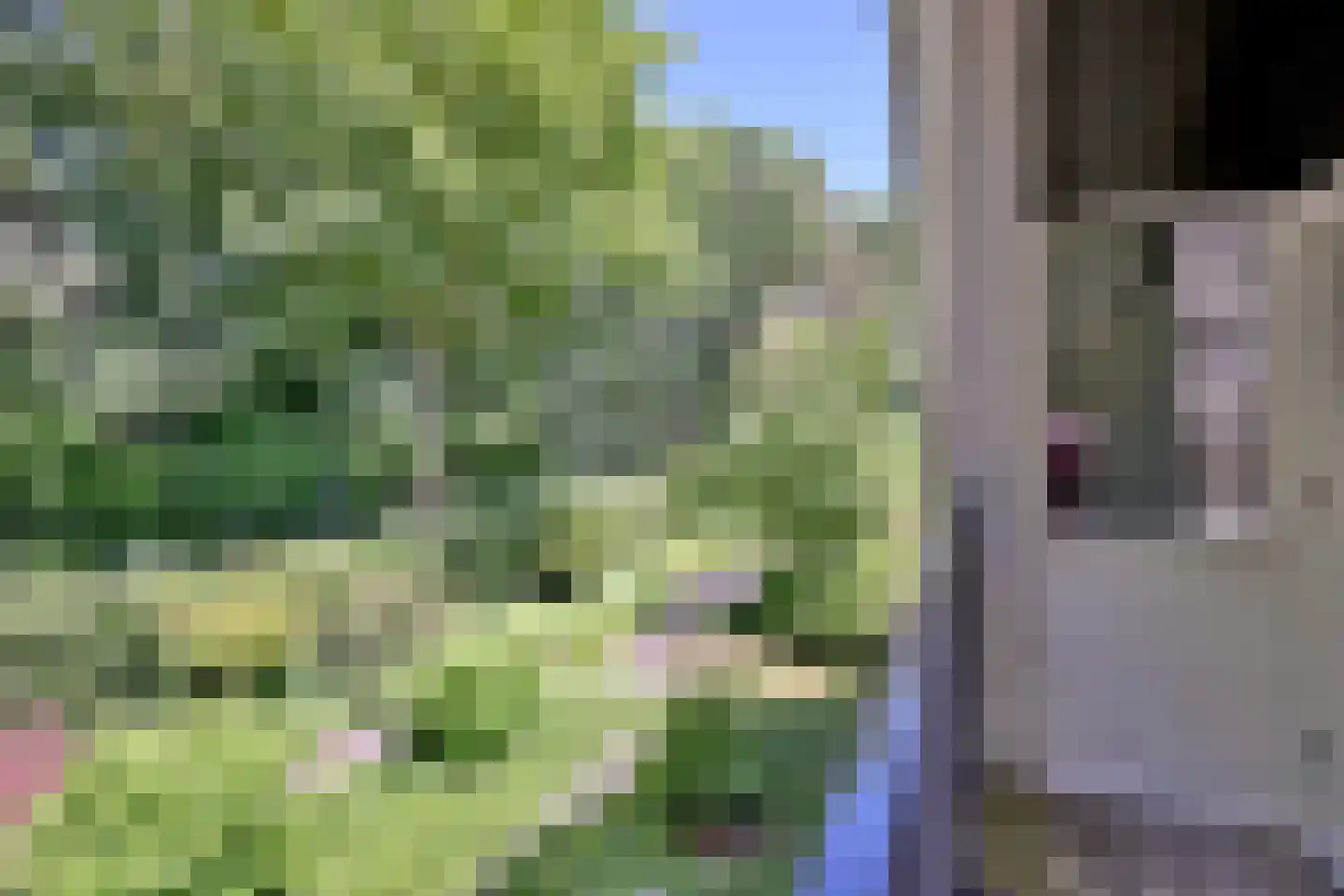 Schuurmansweg 24 Diepenveen thumbnail 24