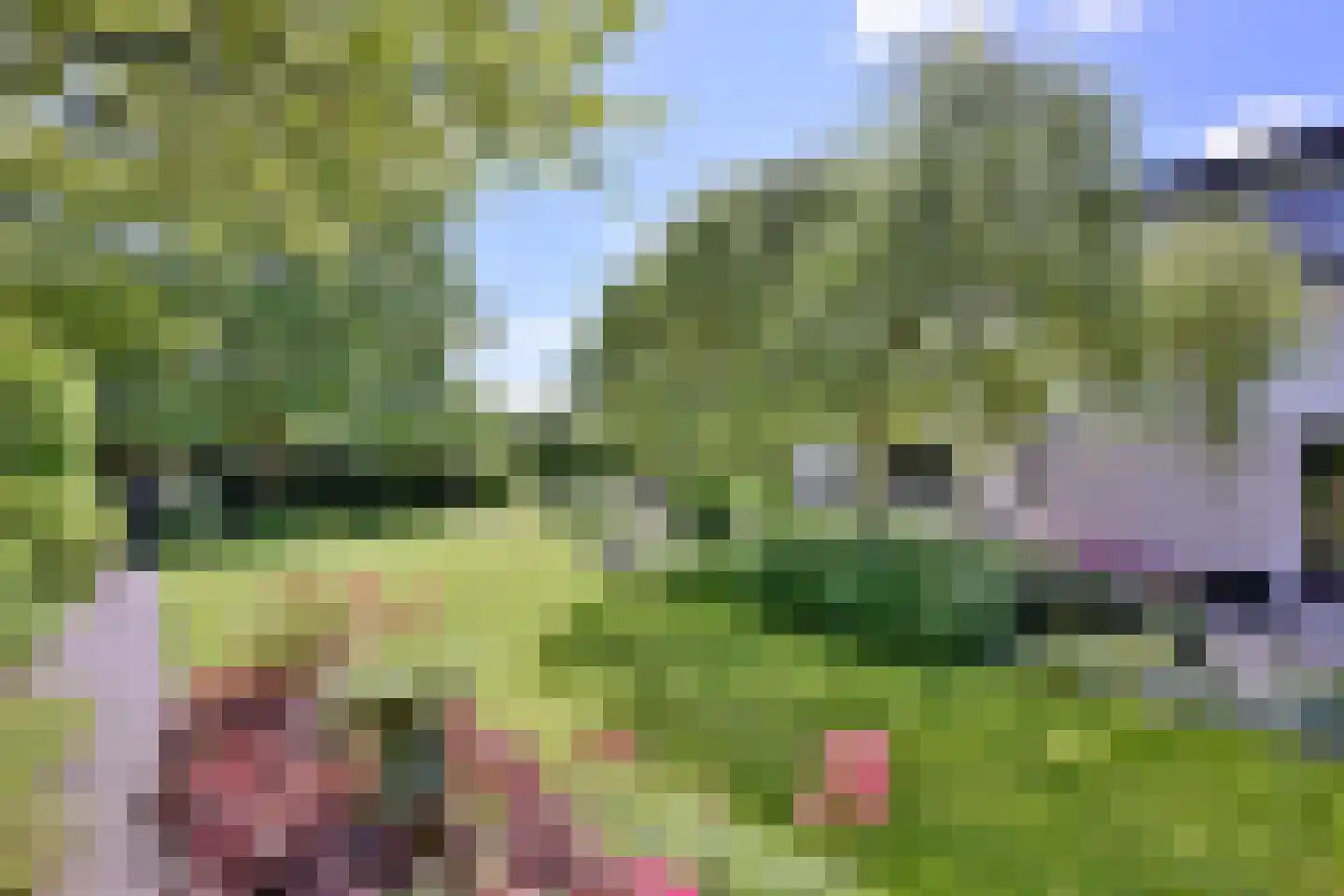 Schuurmansweg 24 Diepenveen thumbnail 35