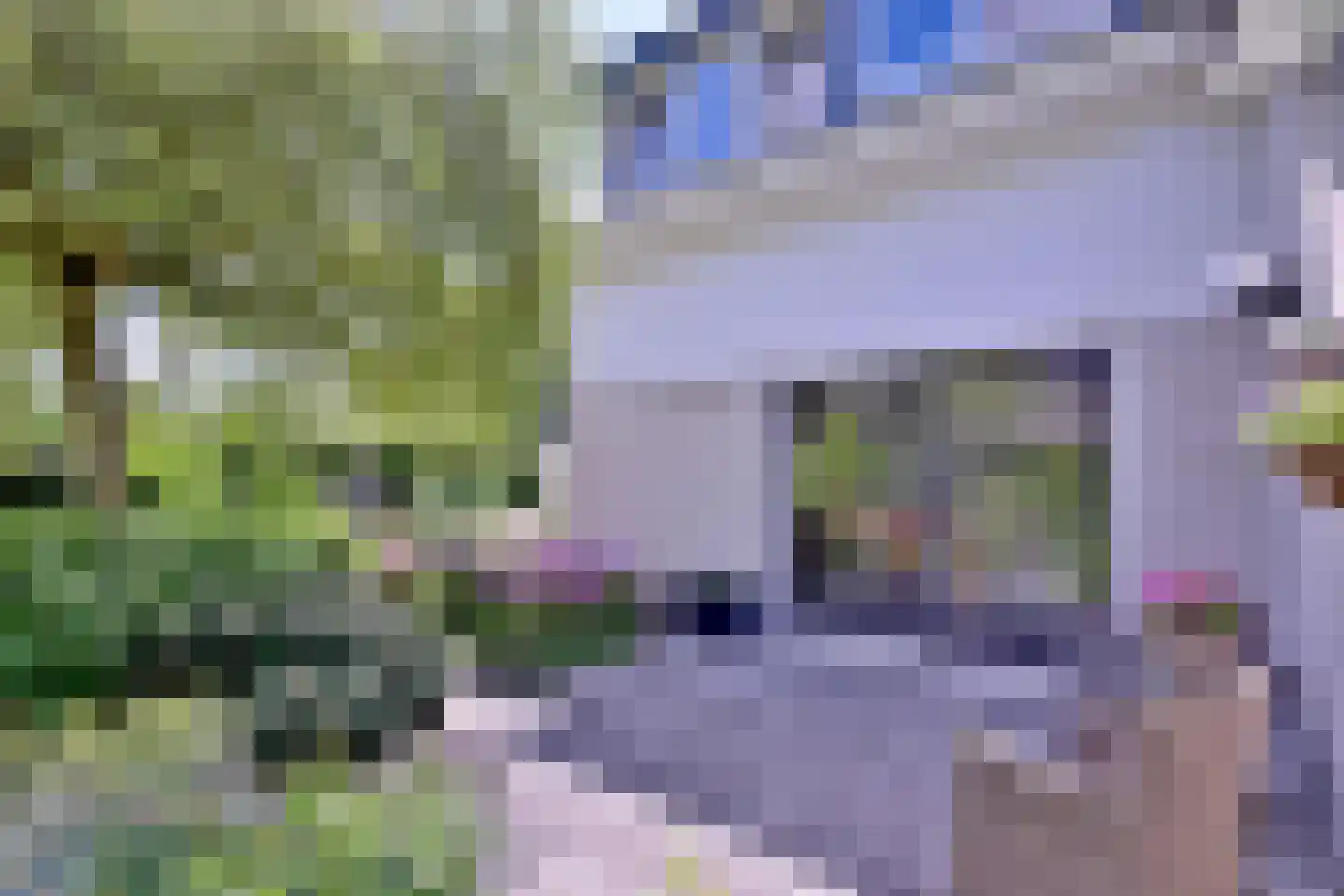 Schuurmansweg 24 Diepenveen thumbnail 38