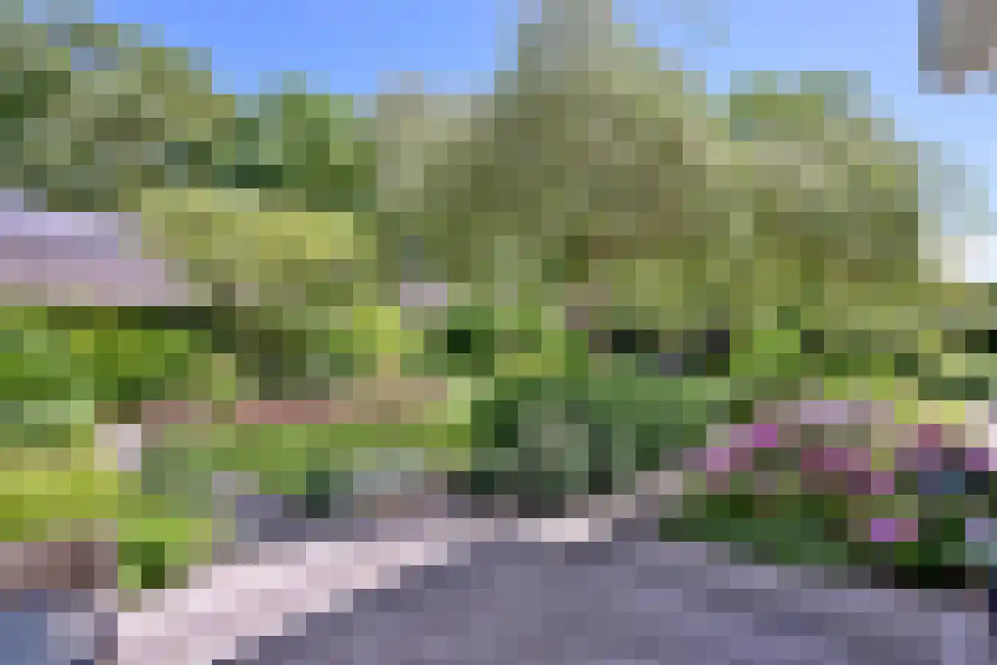 Schuurmansweg 24 Diepenveen thumbnail 40