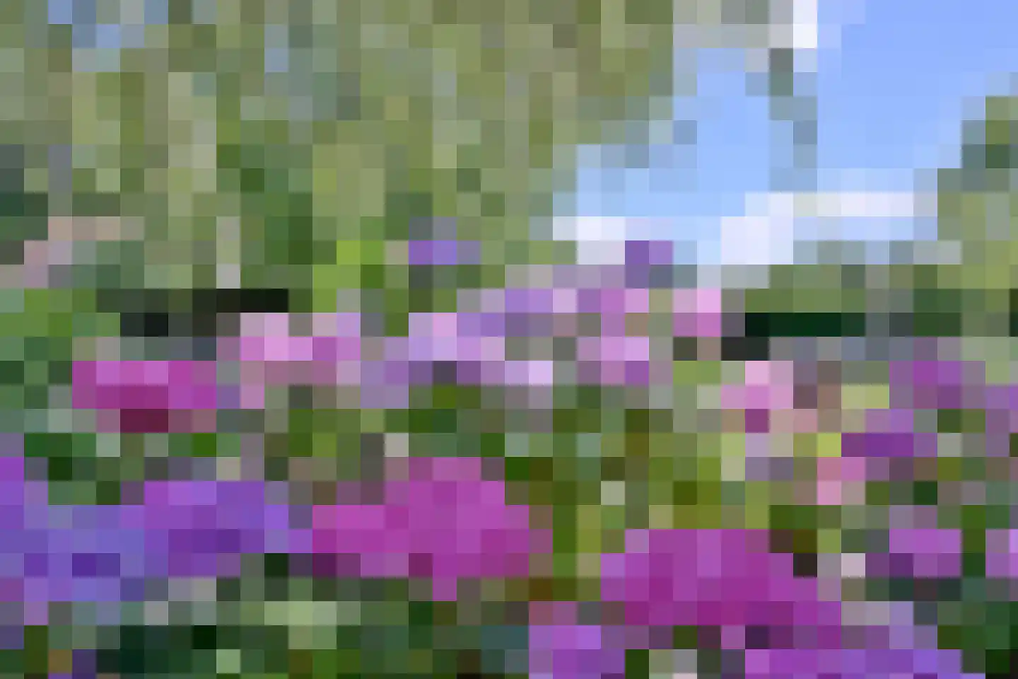 Schuurmansweg 24 Diepenveen thumbnail 41