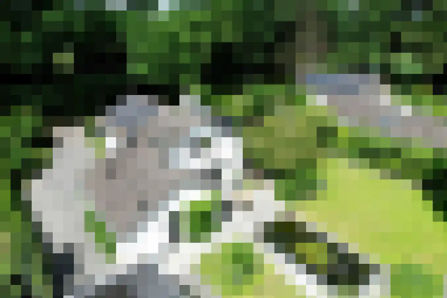 Schuurmansweg 24 Diepenveen thumbnail 44