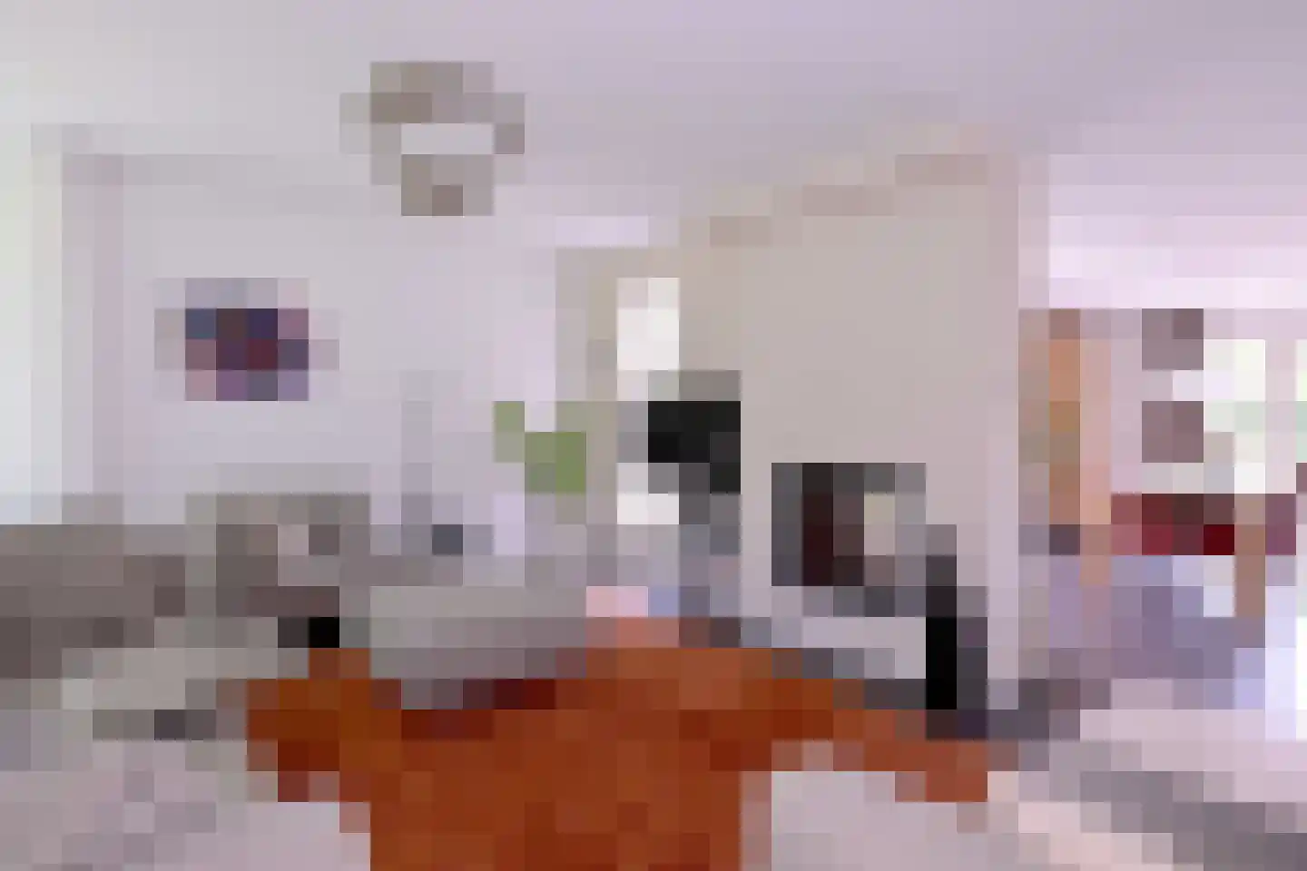 Schuurmansweg 24 Diepenveen thumbnail 7