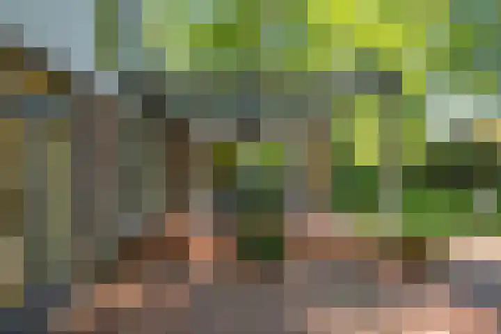 Schuurmansweg 4 A Diepenveen thumbnail 10