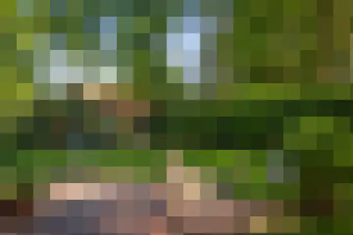 Schuurmansweg 4 A Diepenveen thumbnail 11