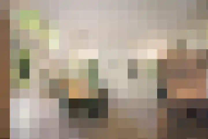 Schuurmansweg 4 A Diepenveen thumbnail 12