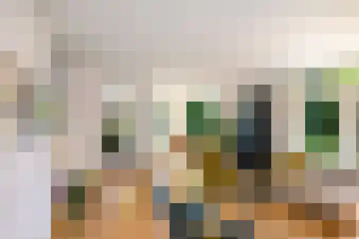 Schuurmansweg 4 A Diepenveen thumbnail 19