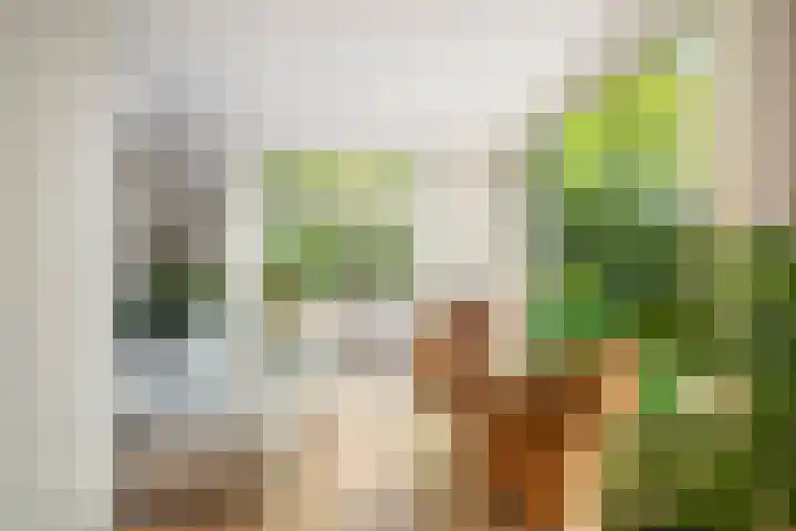Schuurmansweg 4 A Diepenveen thumbnail 21