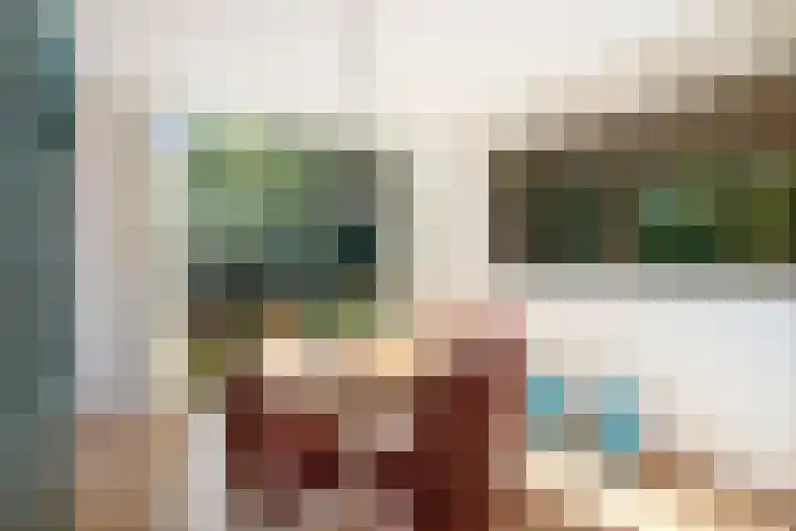 Schuurmansweg 4 A Diepenveen thumbnail 22