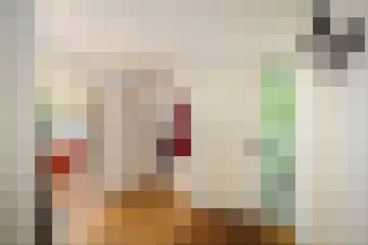 Schuurmansweg 4 A Diepenveen thumbnail 26