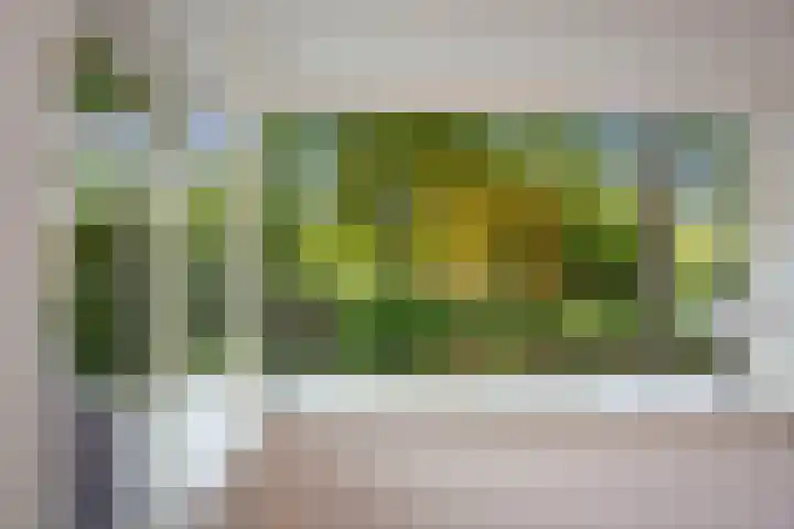 Schuurmansweg 4 A Diepenveen thumbnail 30