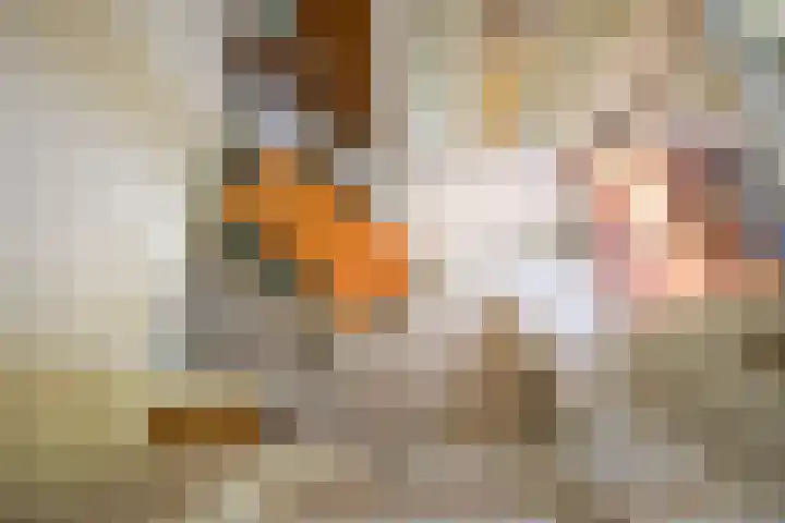 Schuurmansweg 4 A Diepenveen thumbnail 33