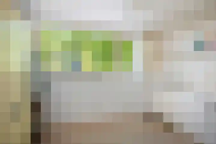 Schuurmansweg 4 A Diepenveen thumbnail 37