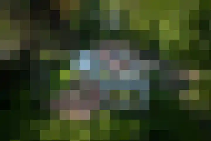 Schuurmansweg 4 A Diepenveen thumbnail 4