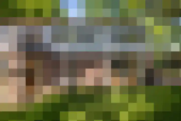 Schuurmansweg 4 A Diepenveen thumbnail 47