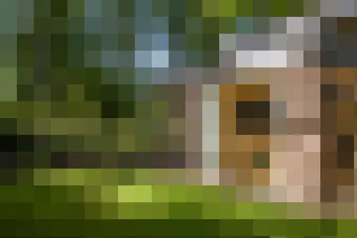 Schuurmansweg 4 A Diepenveen thumbnail 48