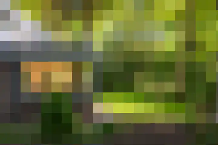 Schuurmansweg 4 A Diepenveen thumbnail 49