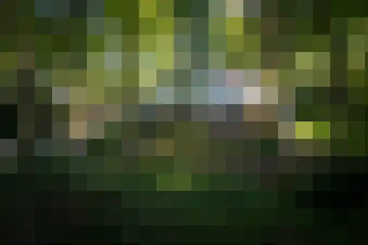 Schuurmansweg 4 A Diepenveen thumbnail 5