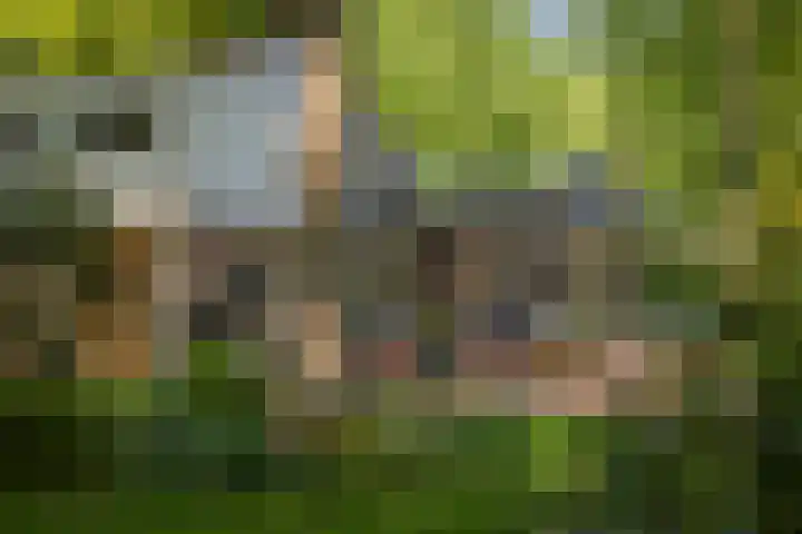Schuurmansweg 4 A Diepenveen thumbnail 50