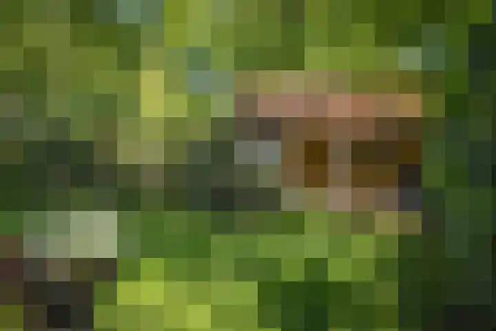 Schuurmansweg 4 A Diepenveen thumbnail 51