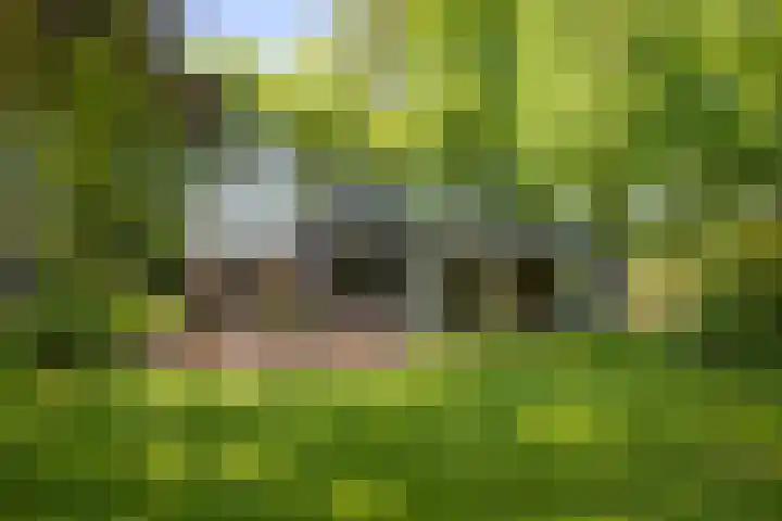 Schuurmansweg 4 A Diepenveen thumbnail 52