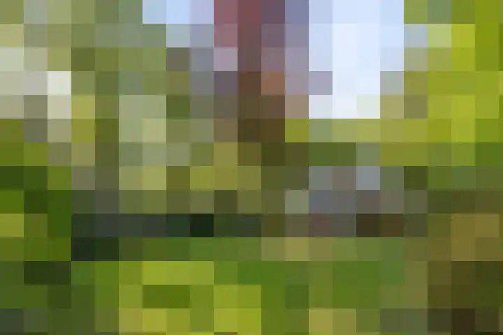 Schuurmansweg 4 A Diepenveen thumbnail 53