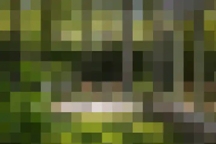 Schuurmansweg 4 A Diepenveen thumbnail 54