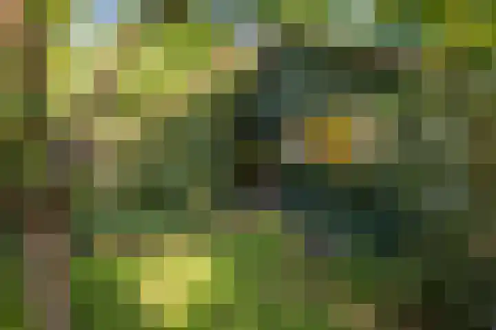 Schuurmansweg 4 A Diepenveen thumbnail 55