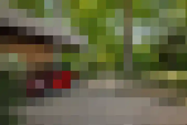 Schuurmansweg 4 A Diepenveen thumbnail 56