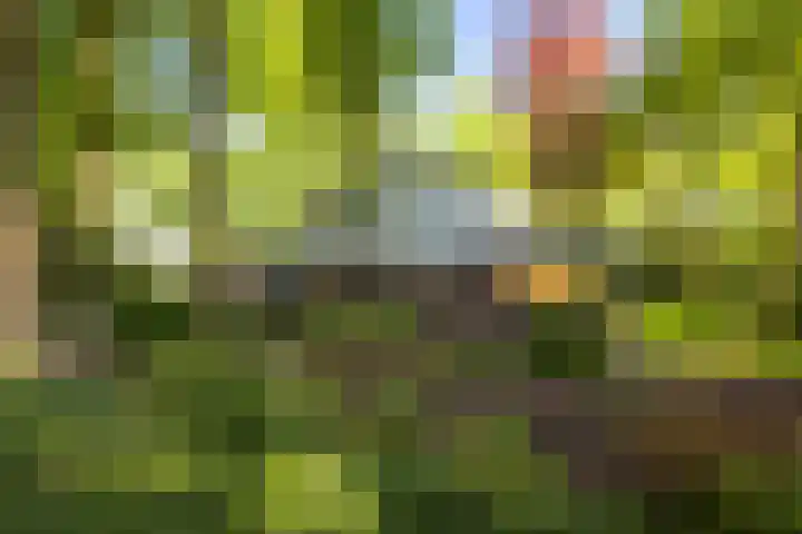Schuurmansweg 4 A Diepenveen thumbnail 57