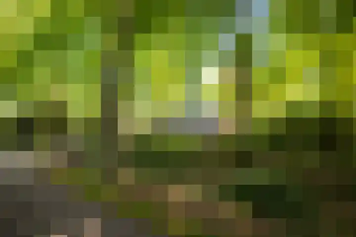 Schuurmansweg 4 A Diepenveen thumbnail 58