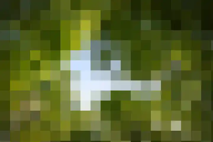 Schuurmansweg 4 A Diepenveen thumbnail 59