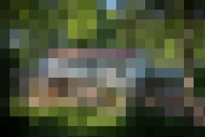 Schuurmansweg 4 A Diepenveen thumbnail 6
