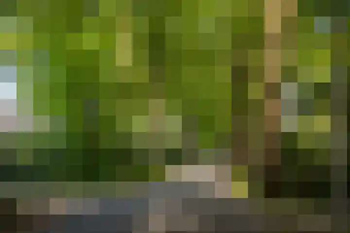Schuurmansweg 4 A Diepenveen thumbnail 60
