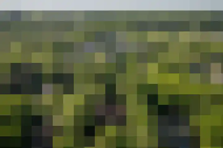 Schuurmansweg 4 A Diepenveen thumbnail 61