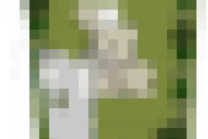 Schuurmansweg 4 A Diepenveen thumbnail 63