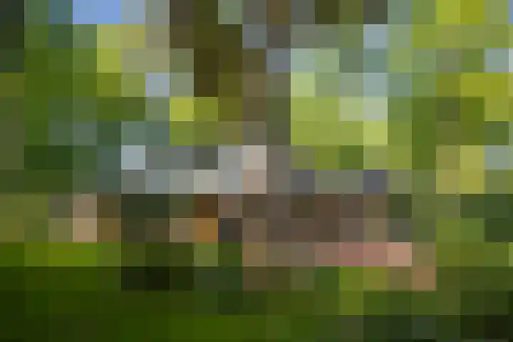 Schuurmansweg 4 A Diepenveen thumbnail 7