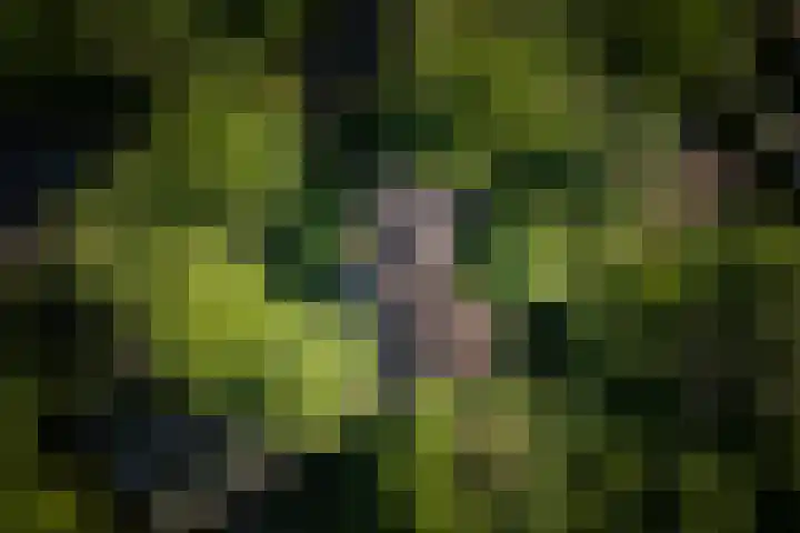 Schuurmansweg 4 A Diepenveen thumbnail 8