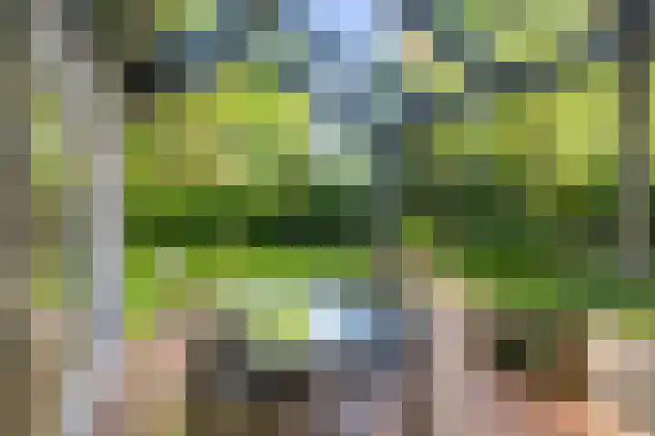 Schuurmansweg 4 A Diepenveen thumbnail 9