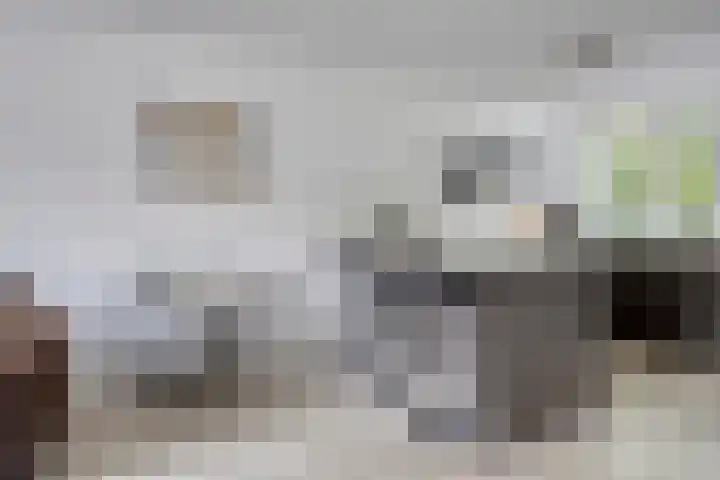 Schuurmansweg 7 Nijeveen thumbnail 10