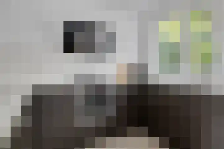 Schuurmansweg 7 Nijeveen thumbnail 12