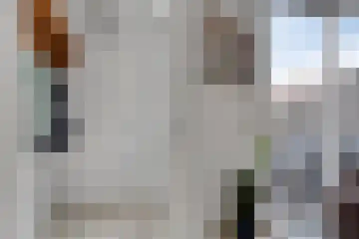 Schuurmansweg 7 Nijeveen thumbnail 14