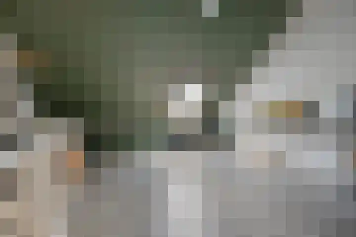 Schuurmansweg 7 Nijeveen thumbnail 23